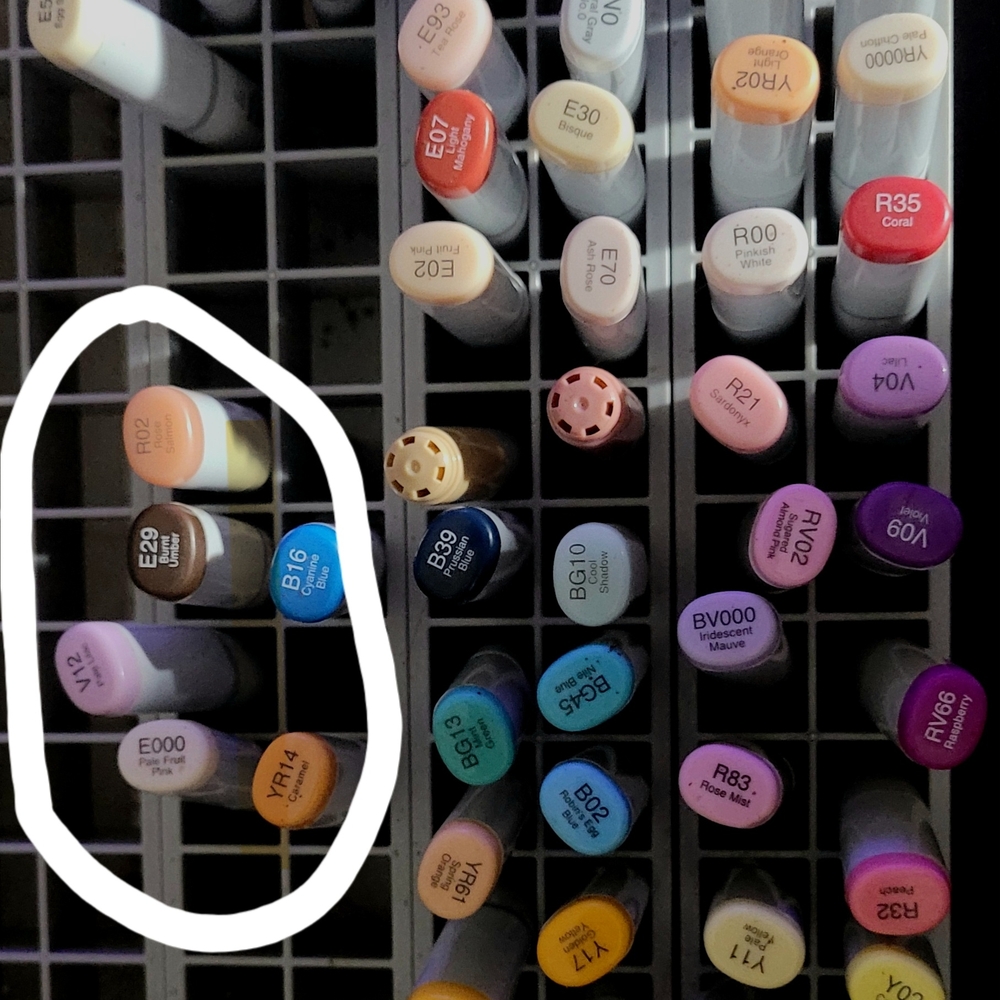 23+ Copics, +6, +80 Hold Case